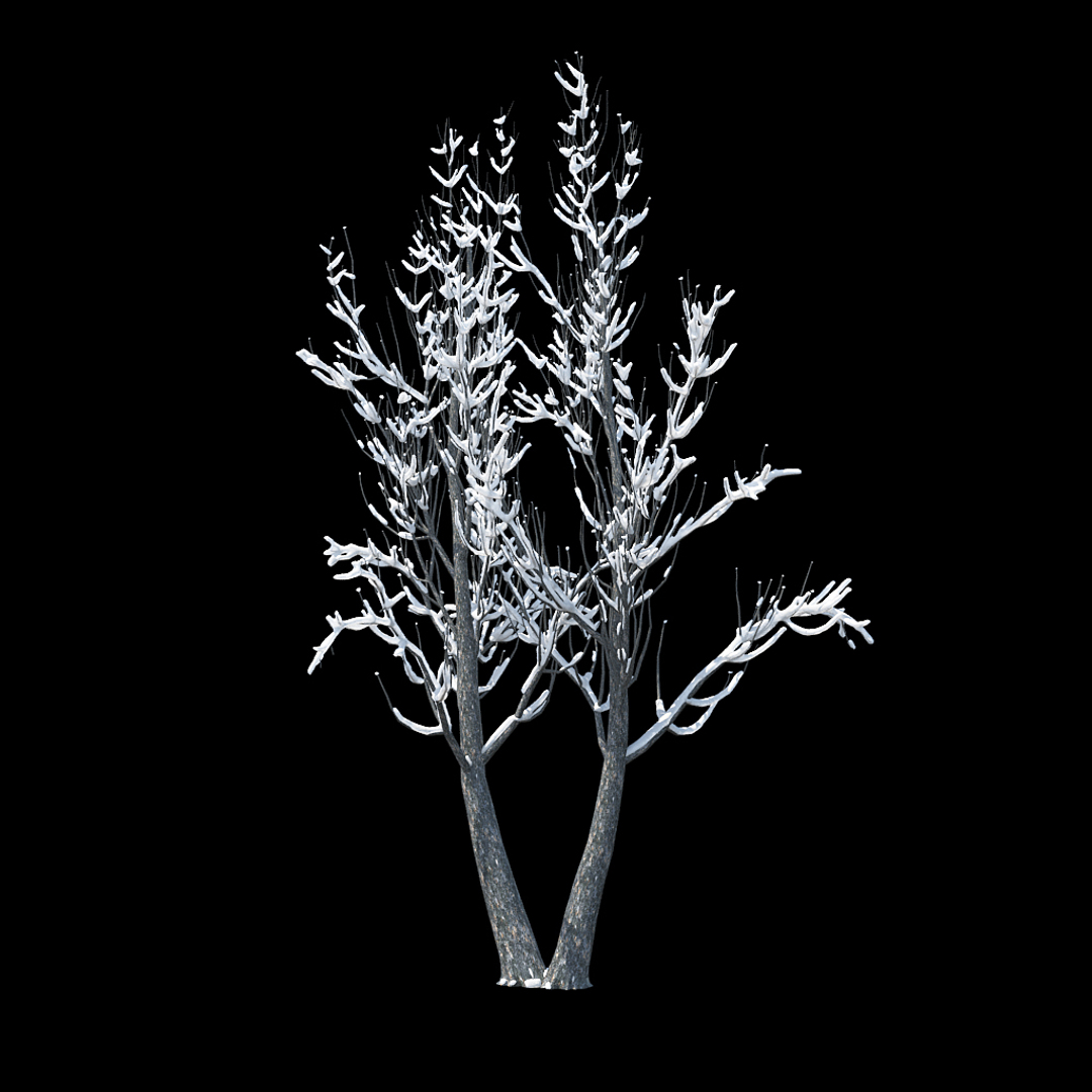 3D winter tree 028 snow - TurboSquid 1235078