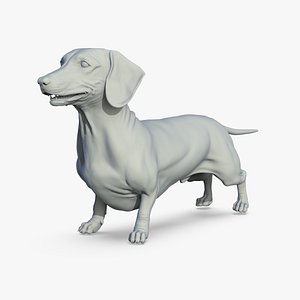 Dachshund 3D model