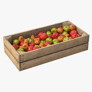 Surinam Cherry Wooden Crate 3D