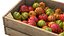 Surinam Cherry Wooden Crate