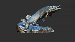 Pike fish