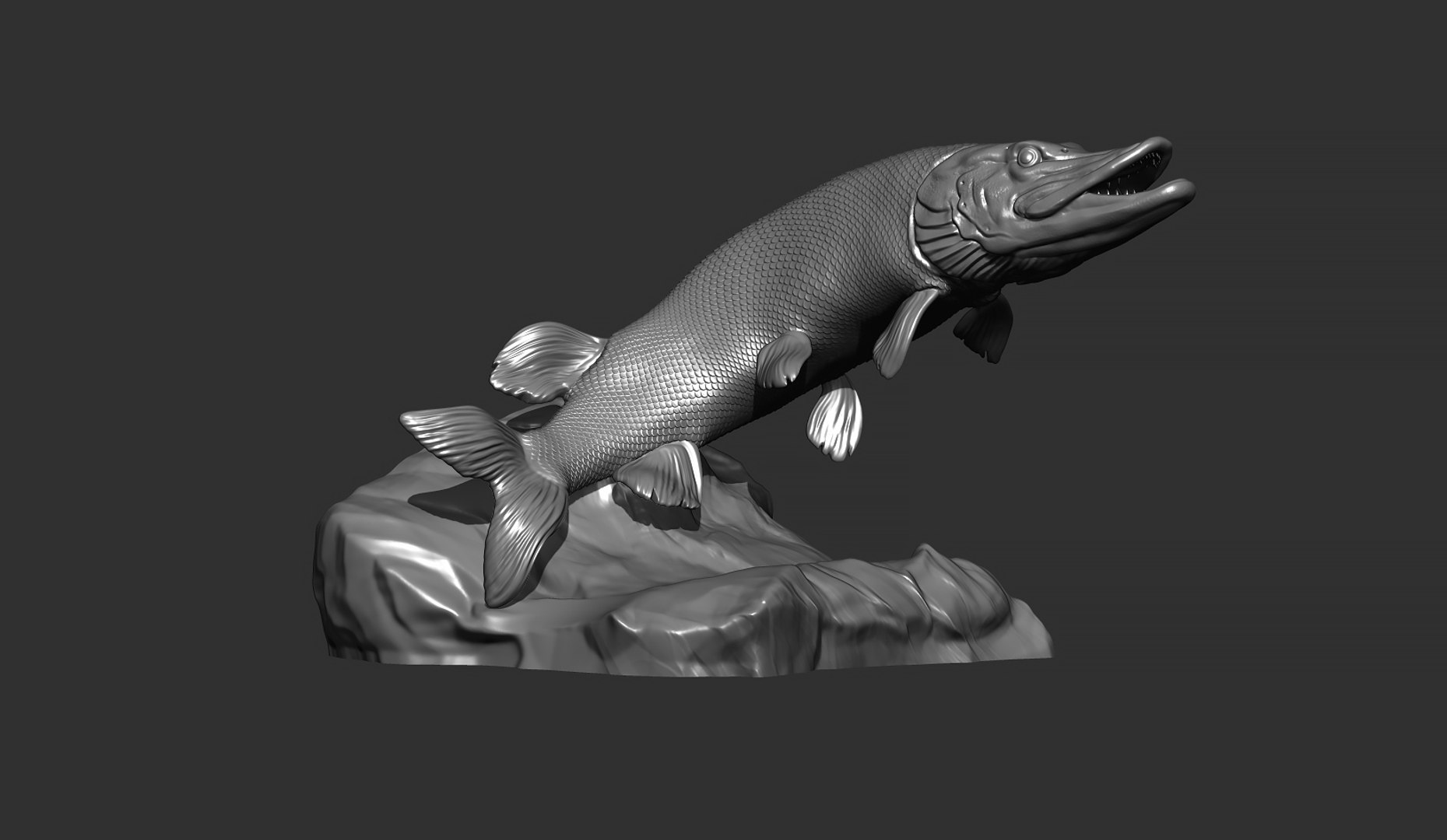 Pike fish 3D model - TurboSquid 1916182