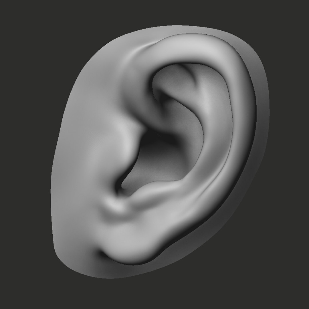 3D Ear Realistic Perfect - TurboSquid 1313274