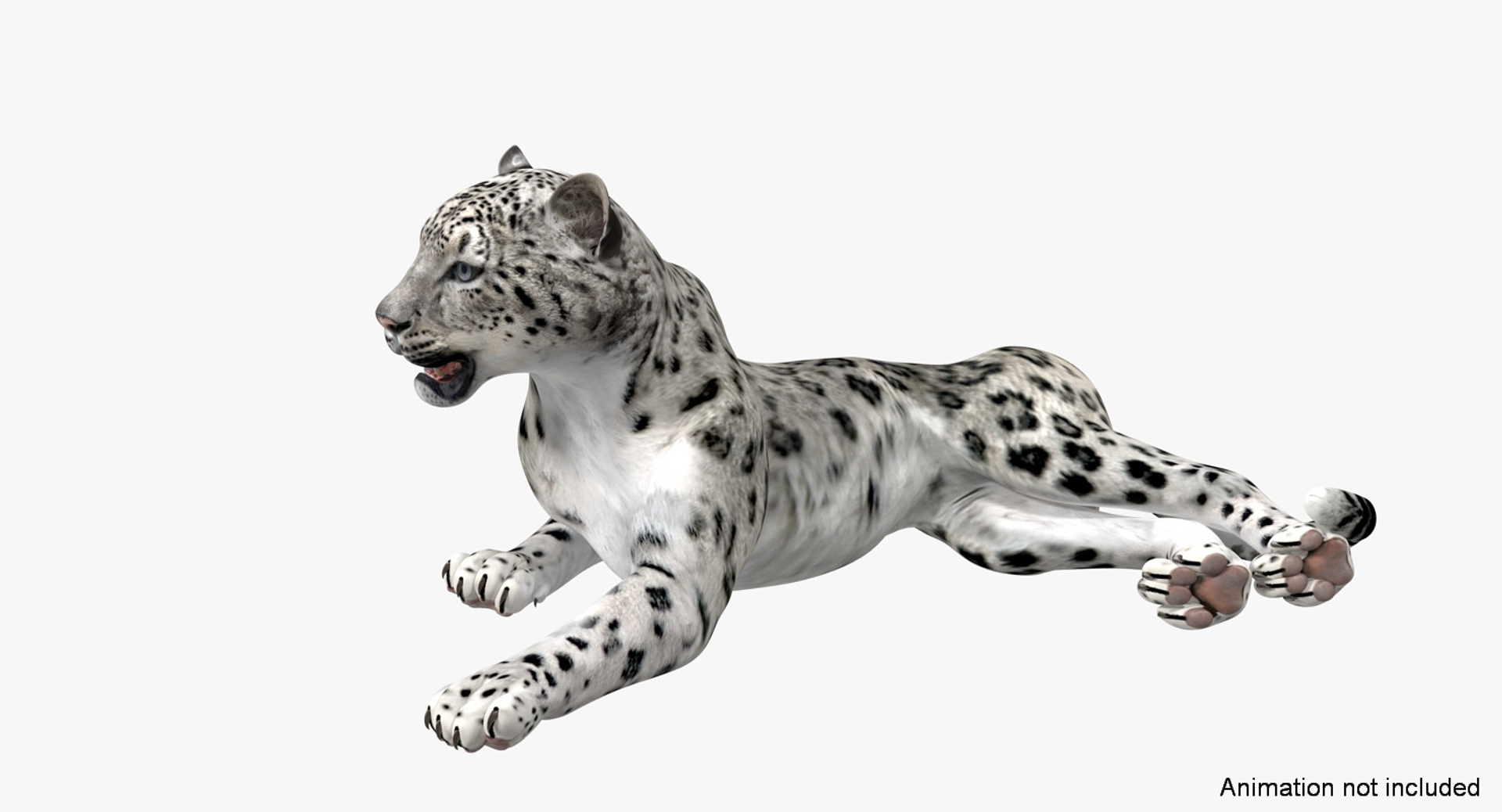 3D Model Snow Leopard Rigged - TurboSquid 1318422