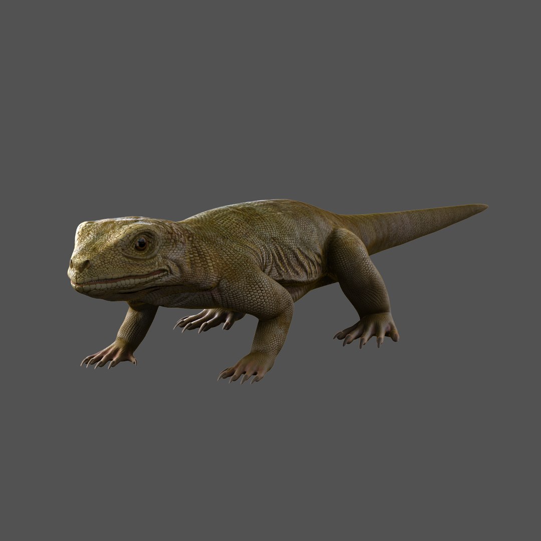 3d lizard rigged model