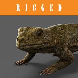 lizard_Rigged
