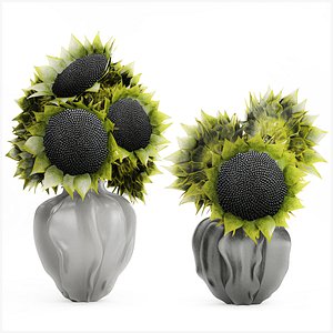 3D Beautiful Bouquet Of Green And Black Sunflowers vase decor model