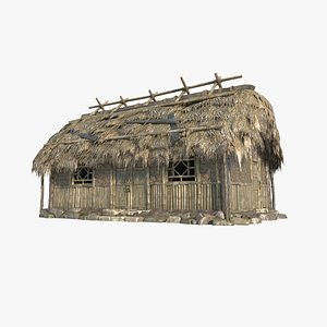 Asian ancient architecture thatched hut