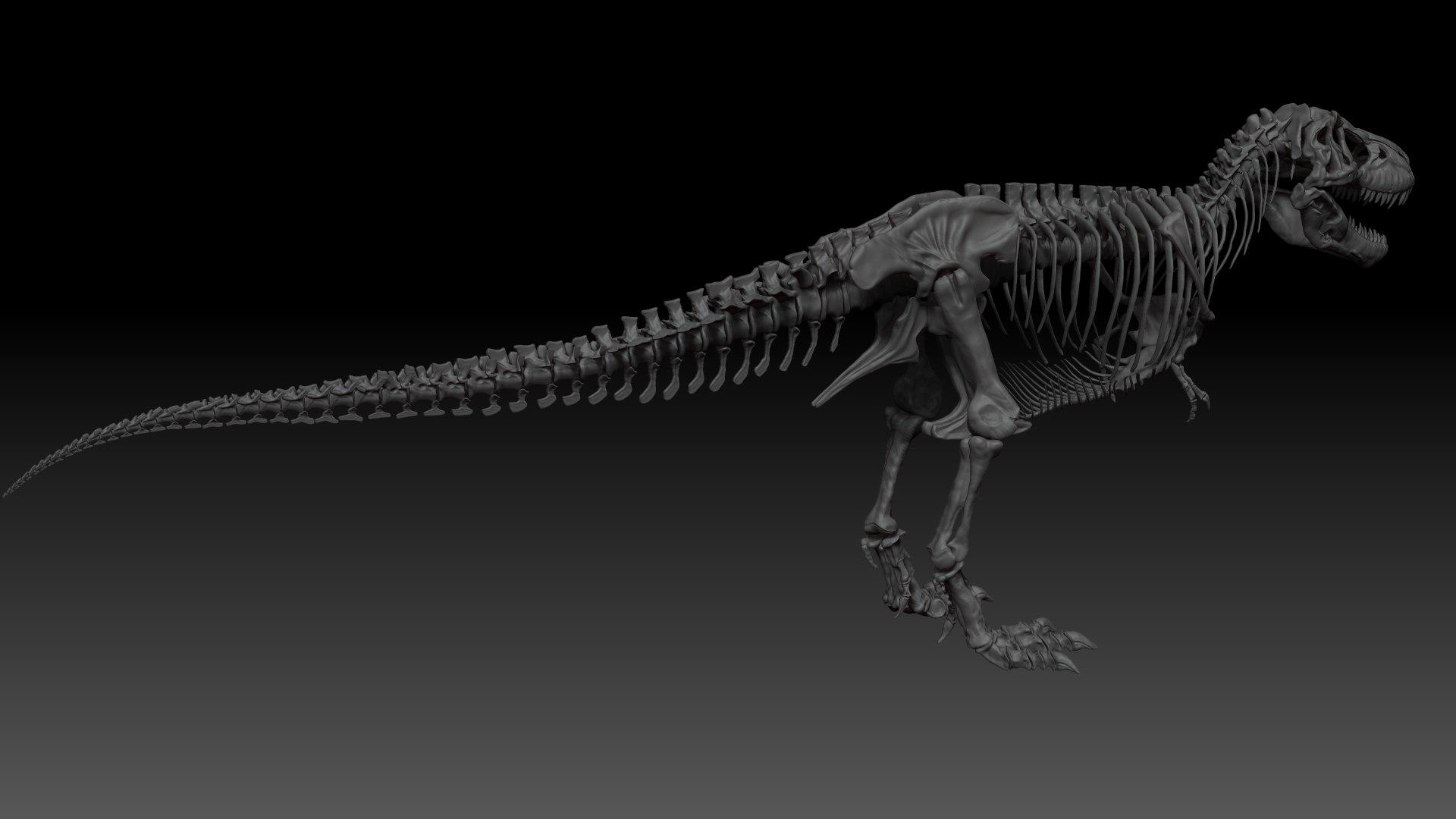 3D Adult Tyrannosaurus Rex Complete - TurboSquid 1707600