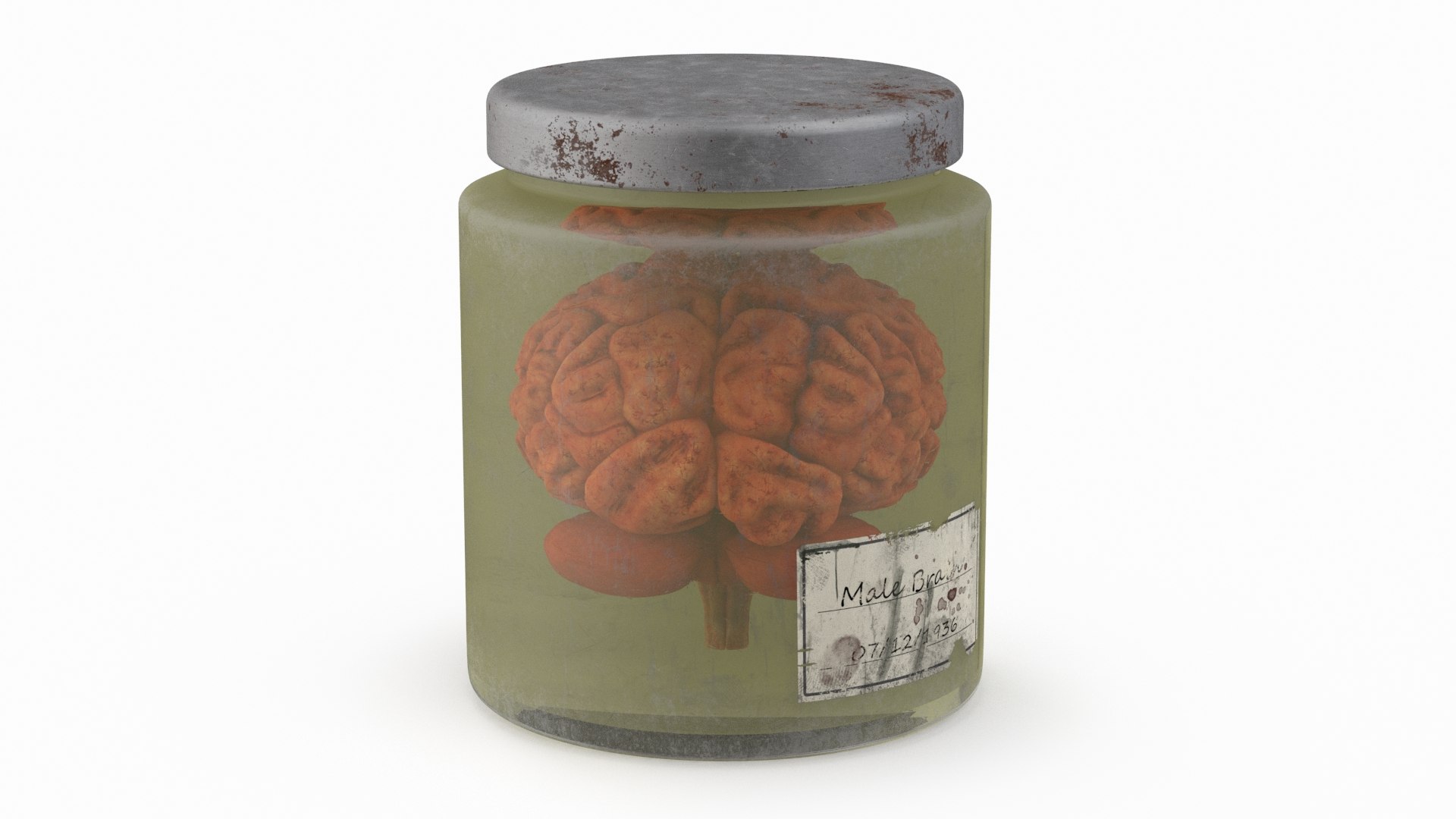 Human Brain in Old Glass Jar 3D model preview