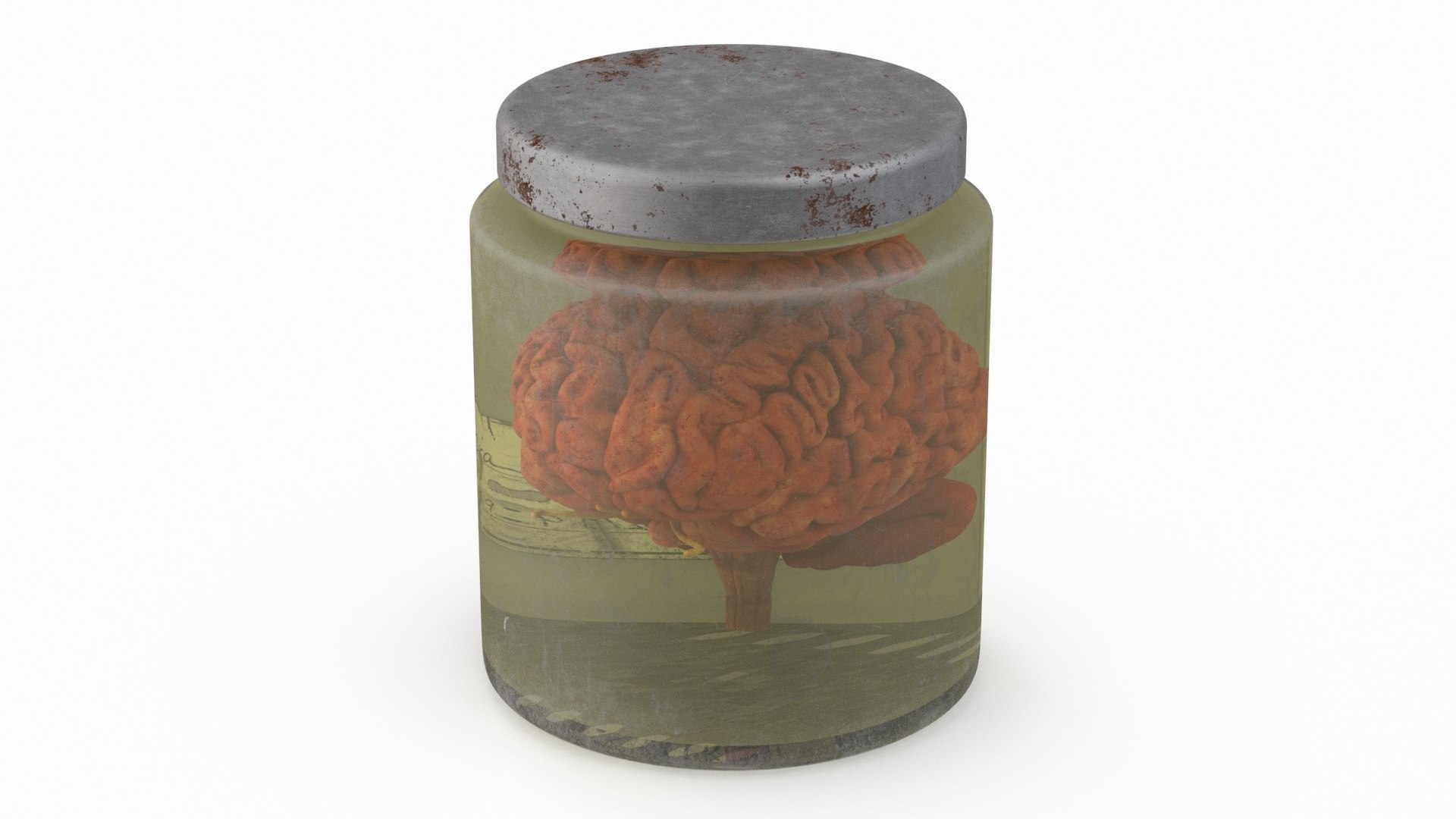 3D Human Brain In Old Glass Jar Model - TurboSquid 2259012