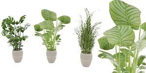 Collection plant vol 4 - blender model 3D