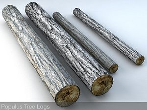 3d model populus tree wood