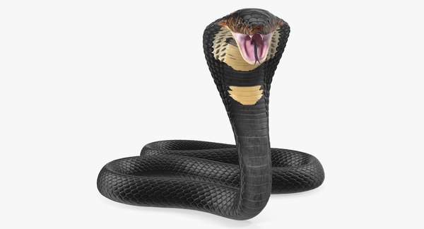 Serpente 3D Modelos para Baizar