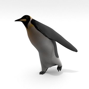 Penguin