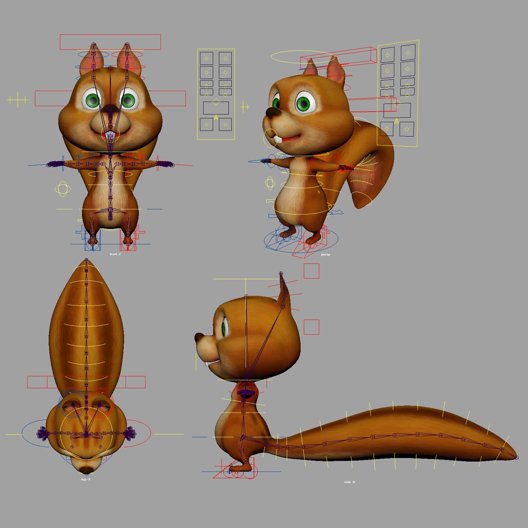 Squirrel Rigged 3D Model - TurboSquid 1657031