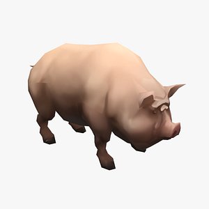 3D animated pig swine model