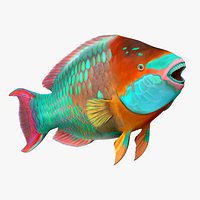 Tropical Parrotfish Rigged for Maya