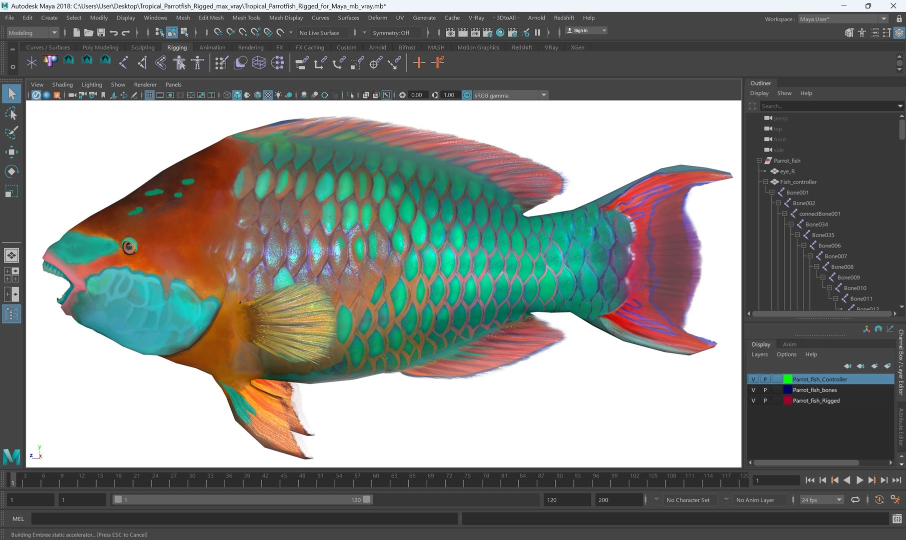 Tropical Parrotfish Rigged For Maya 3D Model - TurboSquid 2389980