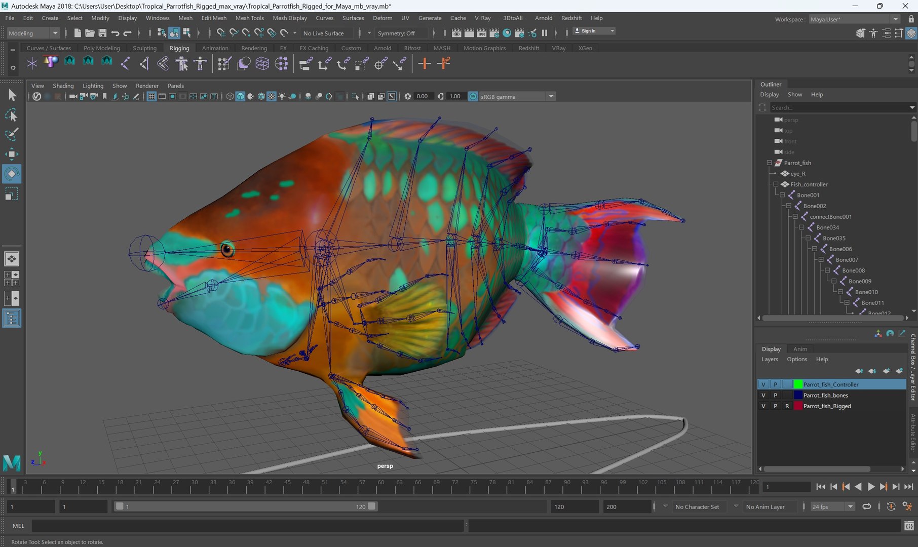 Tropical Parrotfish Rigged For Maya 3D Model - TurboSquid 2389980