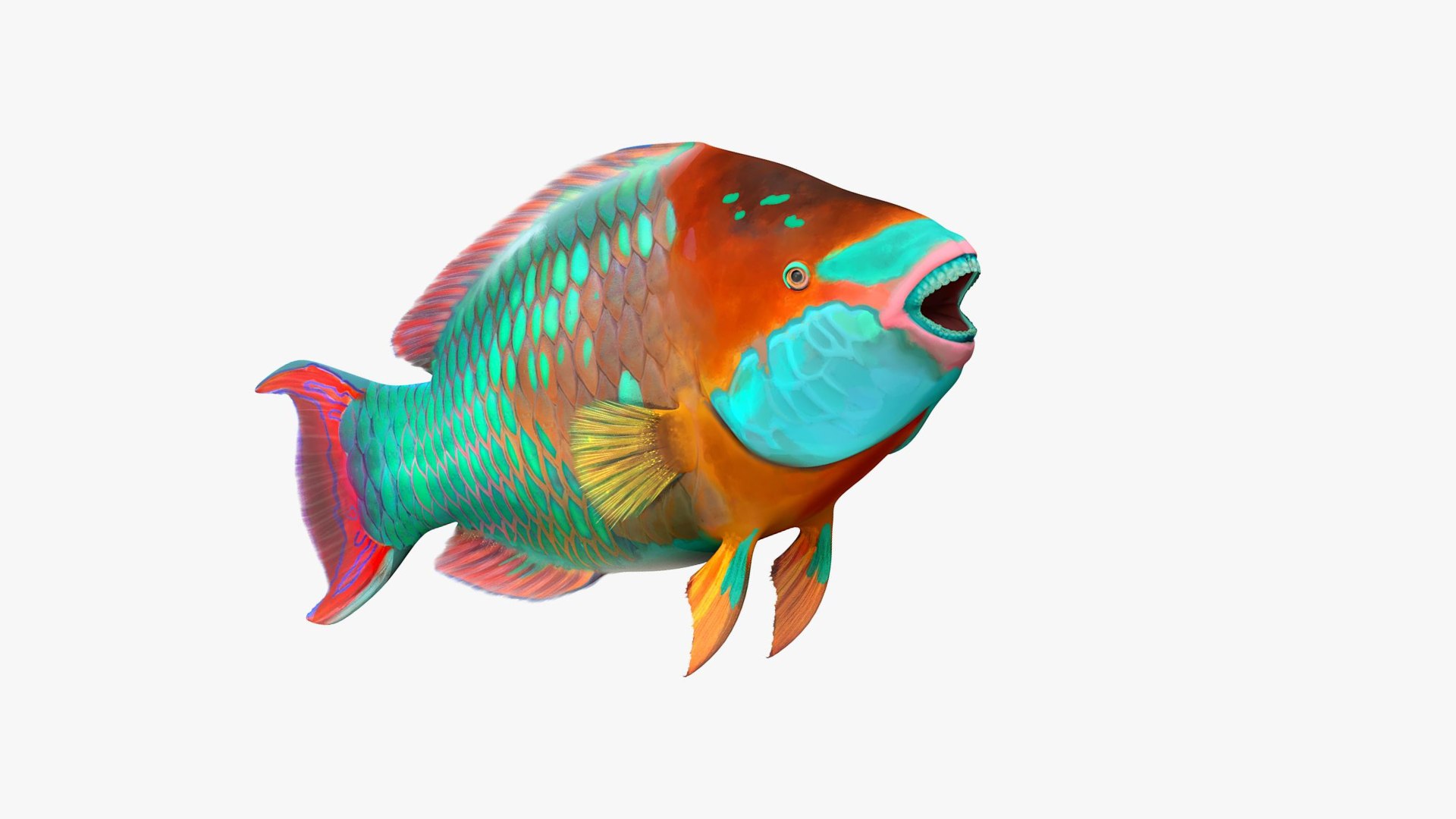 Tropical Parrotfish Rigged for Maya 3D model preview