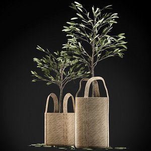 3D model wicker basket containing delicate