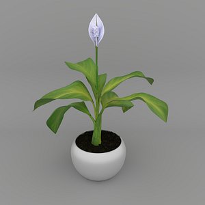 flower 3D model