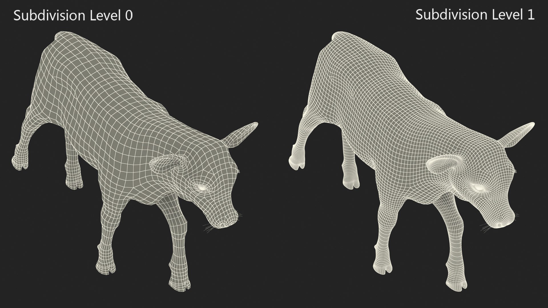 3D Cow Calf In Walking Pose - TurboSquid 2259031