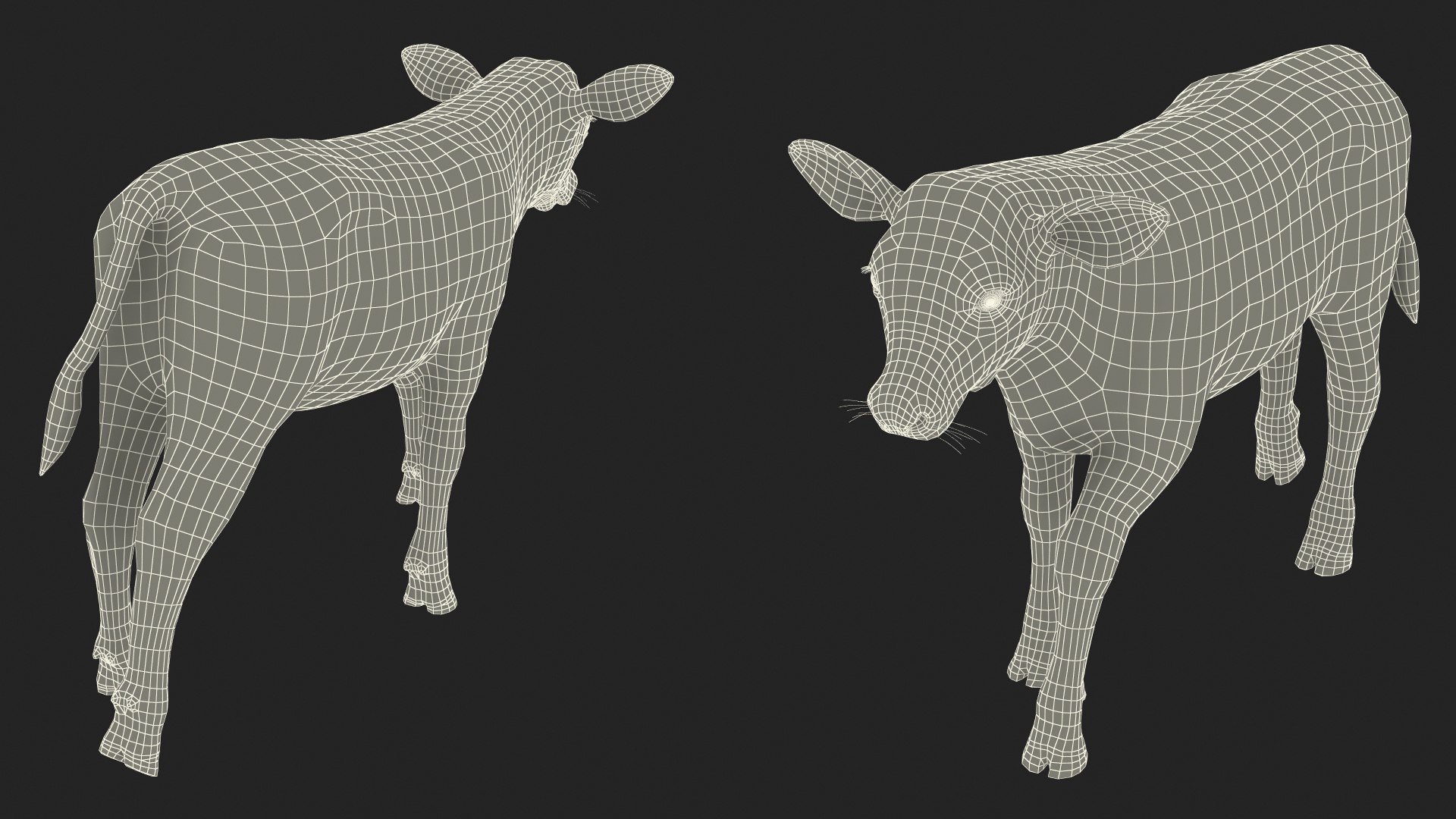 3D Cow Calf In Walking Pose - TurboSquid 2259031