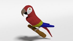 3D macaw parrot