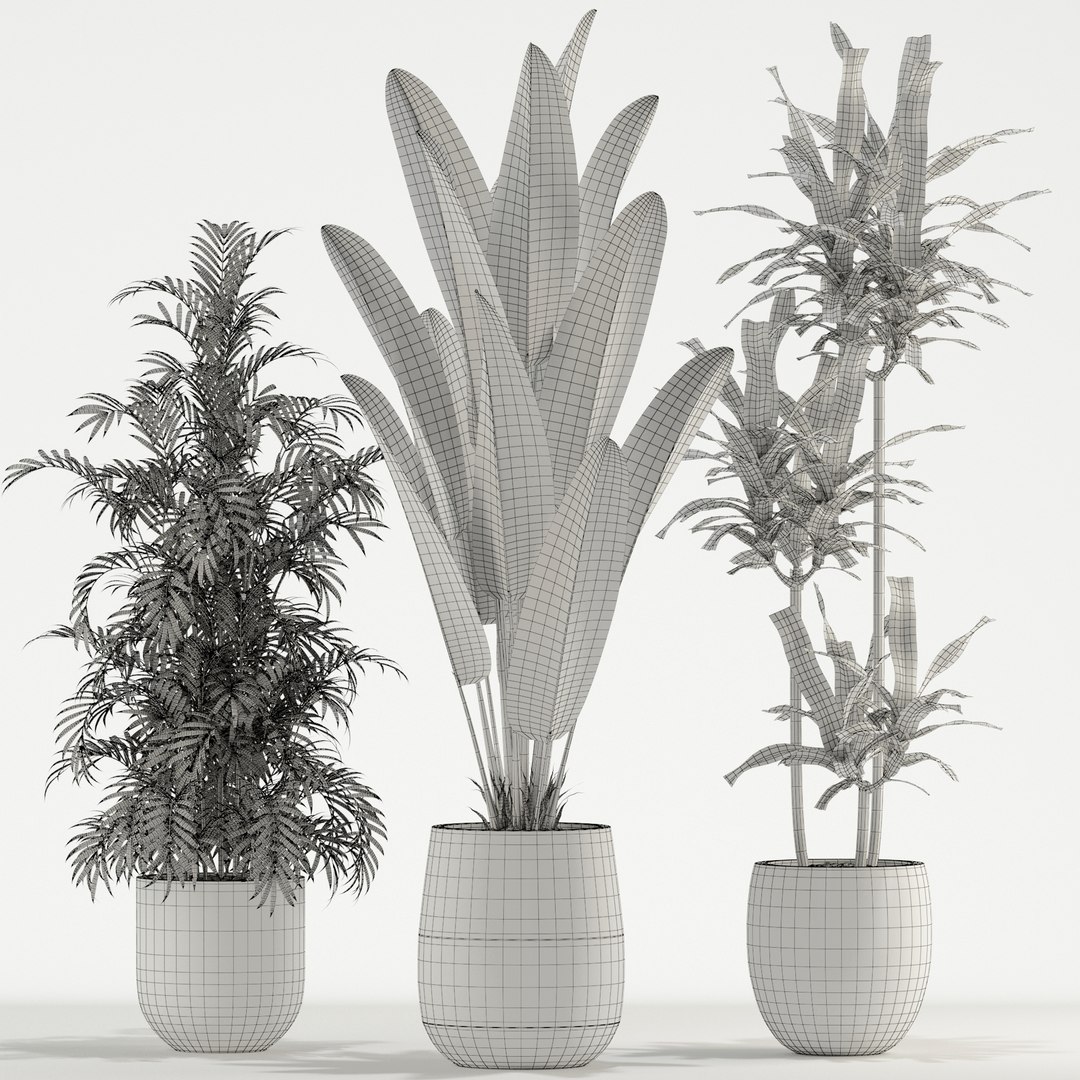 Plants collection 726 3D https://p.turbosquid.com/ts-thumb/73/KBA95e/7t/plant_726_04/jpg/1652937469/1920x1080/fit_q87/19b07cc30a587cc3308ac4a9271ade3cc98a680e/plant_726_04.jpg