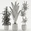 Plants collection 726
