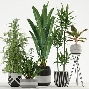 Plants collection 726 3D