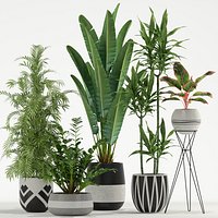 Plants collection 726