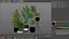 Plants collection 726