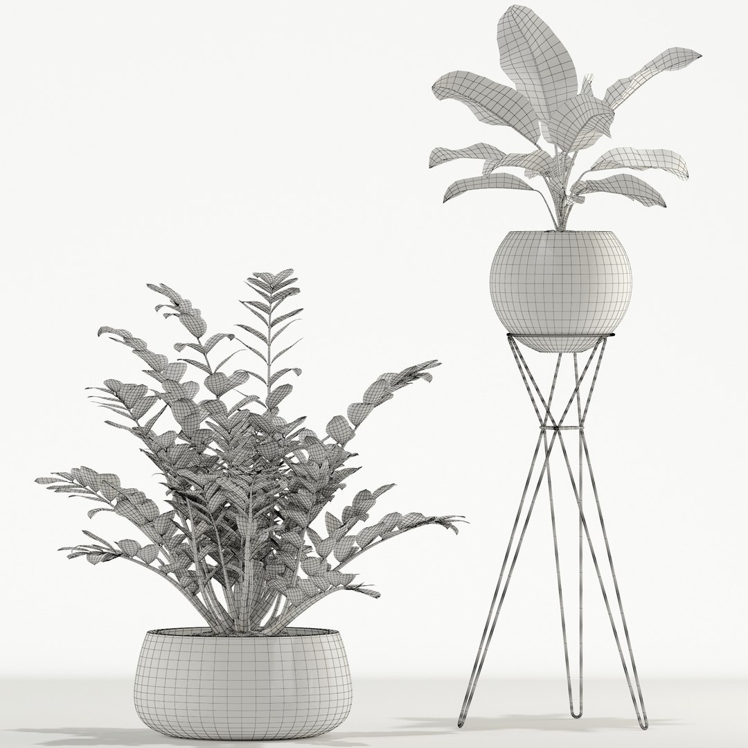 Plants collection 726 3D https://p.turbosquid.com/ts-thumb/73/KBA95e/mC/plant_726_05/jpg/1652937467/1920x1080/fit_q87/c9aa258e51bc4f4932361776c0587c92eab0bd03/plant_726_05.jpg