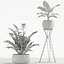 Plants collection 726