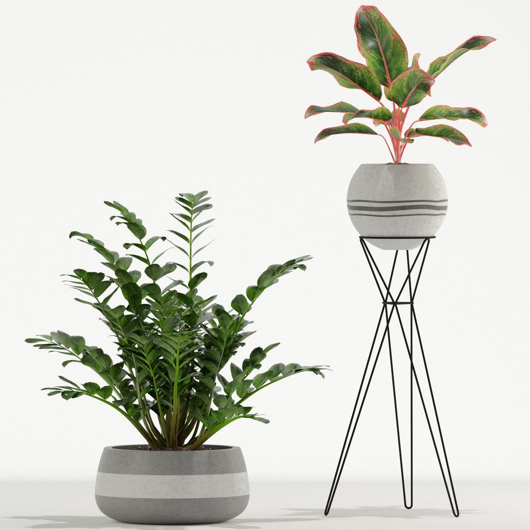 Plants collection 726 3D https://p.turbosquid.com/ts-thumb/73/KBA95e/mZ/plant_726_03/jpg/1652937467/1920x1080/fit_q87/7a877de42ab2a5519d885c5e6d1ab331afacccb2/plant_726_03.jpg