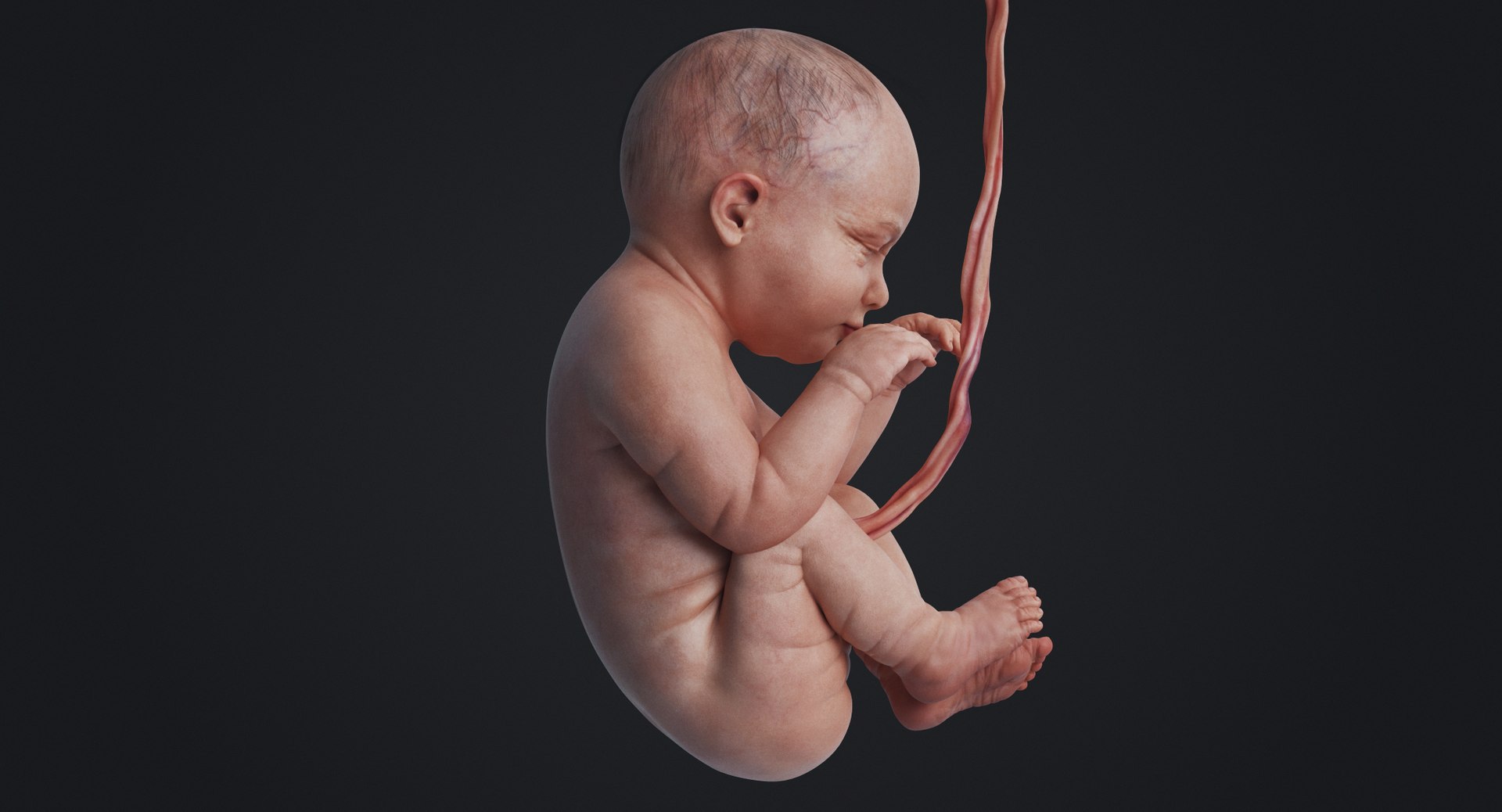 3D rigged animation https://p.turbosquid.com/ts-thumb/73/PBFtTI/0d4hAX6Q/rakursu_0019/jpg/1559818060/1920x1080/fit_q87/4cf6113e63051cc9feaa3e1cfce9c1886bbafd14/rakursu_0019.jpg