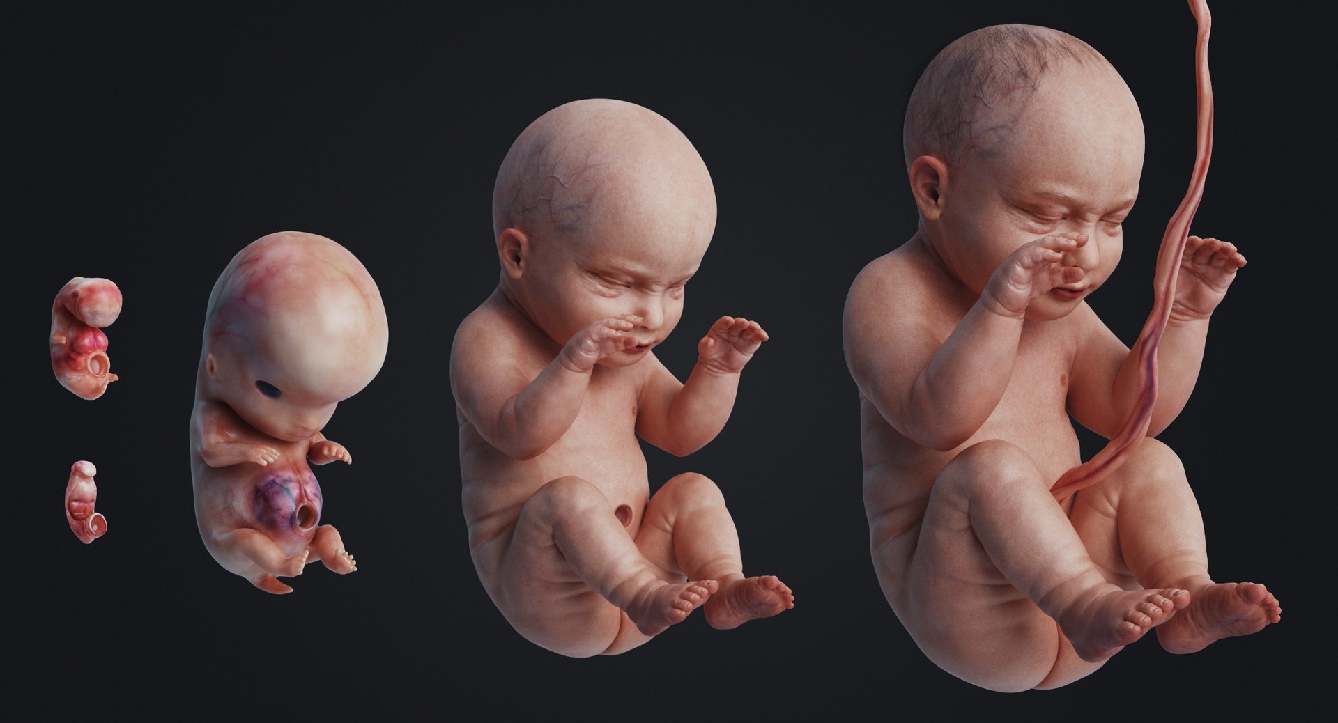3D rigged animation https://p.turbosquid.com/ts-thumb/73/PBFtTI/1WTq4nat/human_0002/jpg/1559817797/1920x1080/fit_q87/6481ffcee38ebe6df284c7f4a0444289d4171232/human_0002.jpg