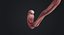 Human Embryo Fetus Animated