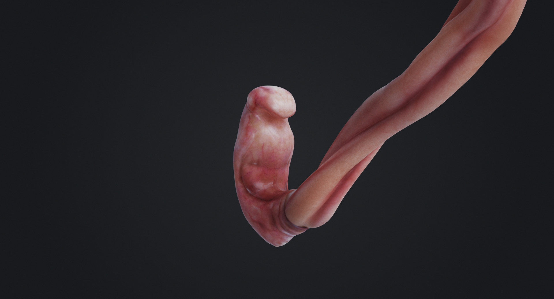 3D rigged animation https://p.turbosquid.com/ts-thumb/73/PBFtTI/2dGzyKqi/animations/jpg/1559815931/1920x1080/turn_fit_q99/69f644e36e937ec0623ee66b0ce0775801f86d93/animations-1.jpg