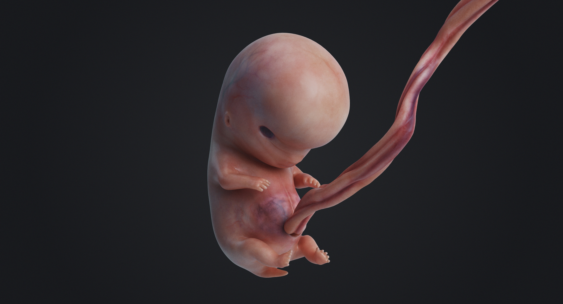 3D rigged animation https://p.turbosquid.com/ts-thumb/73/PBFtTI/9D5adJ3g/animation/jpg/1559816832/1920x1080/turn_fit_q99/1e809dd0c3e4f907ce247928f546fdcaf3cb59b8/animation-1.jpg