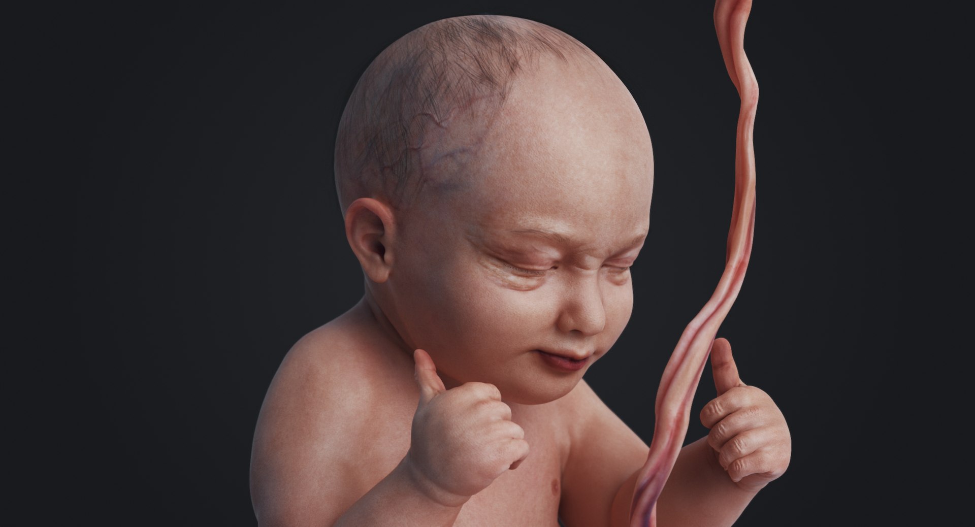 3D rigged animation https://p.turbosquid.com/ts-thumb/73/PBFtTI/DR3bYg18/rakursu_0033/jpg/1559818061/1920x1080/fit_q87/aea48473f2f1de54433cc5481669de40cc9fedd7/rakursu_0033.jpg