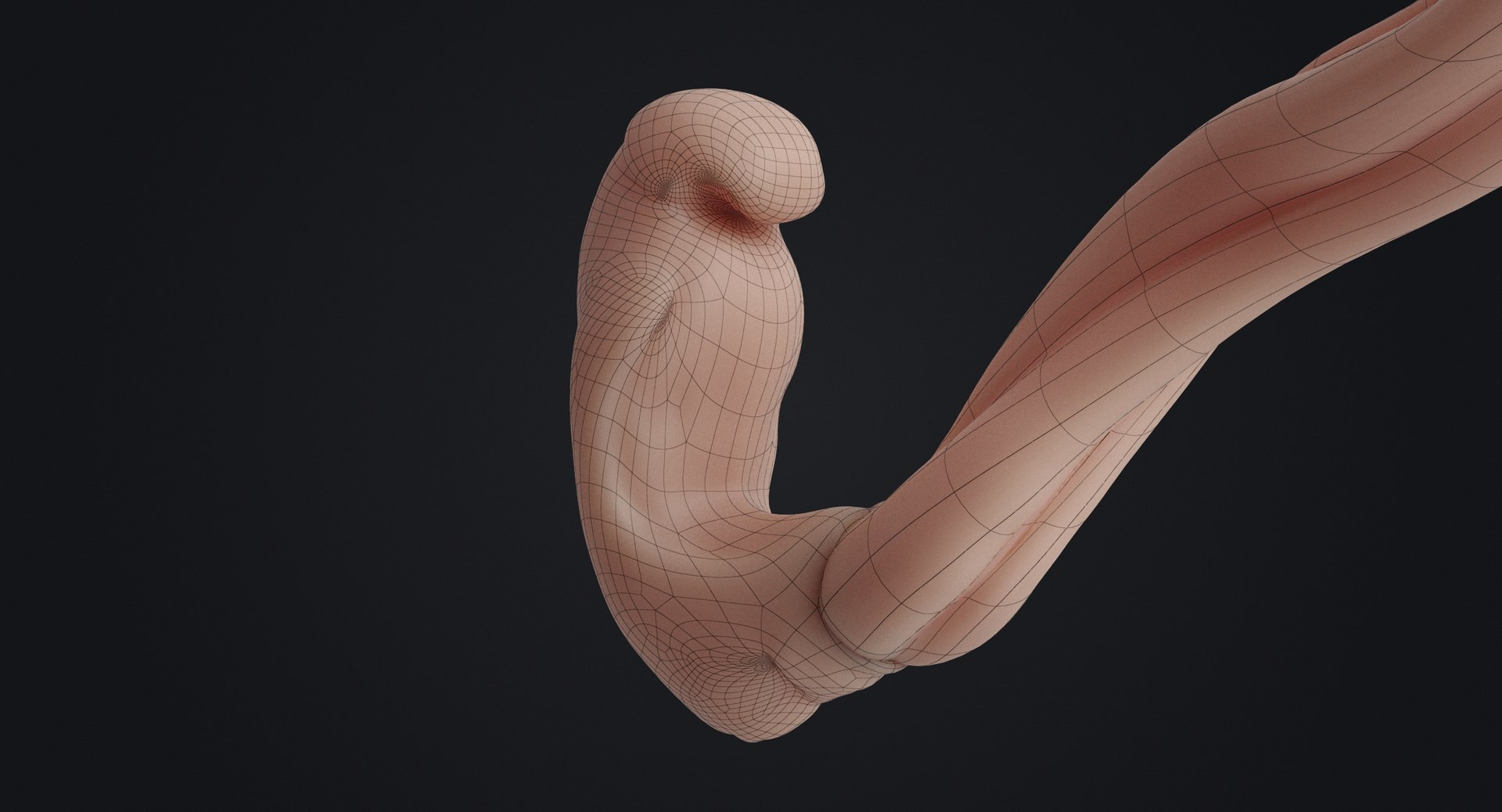 3D rigged animation https://p.turbosquid.com/ts-thumb/73/PBFtTI/EZ1hrU2y/humanembryo_gray_0001/jpg/1559818528/1920x1080/fit_q87/daae7da467c5b27912aaa2211f09cc312ec05667/humanembryo_gray_0001.jpg