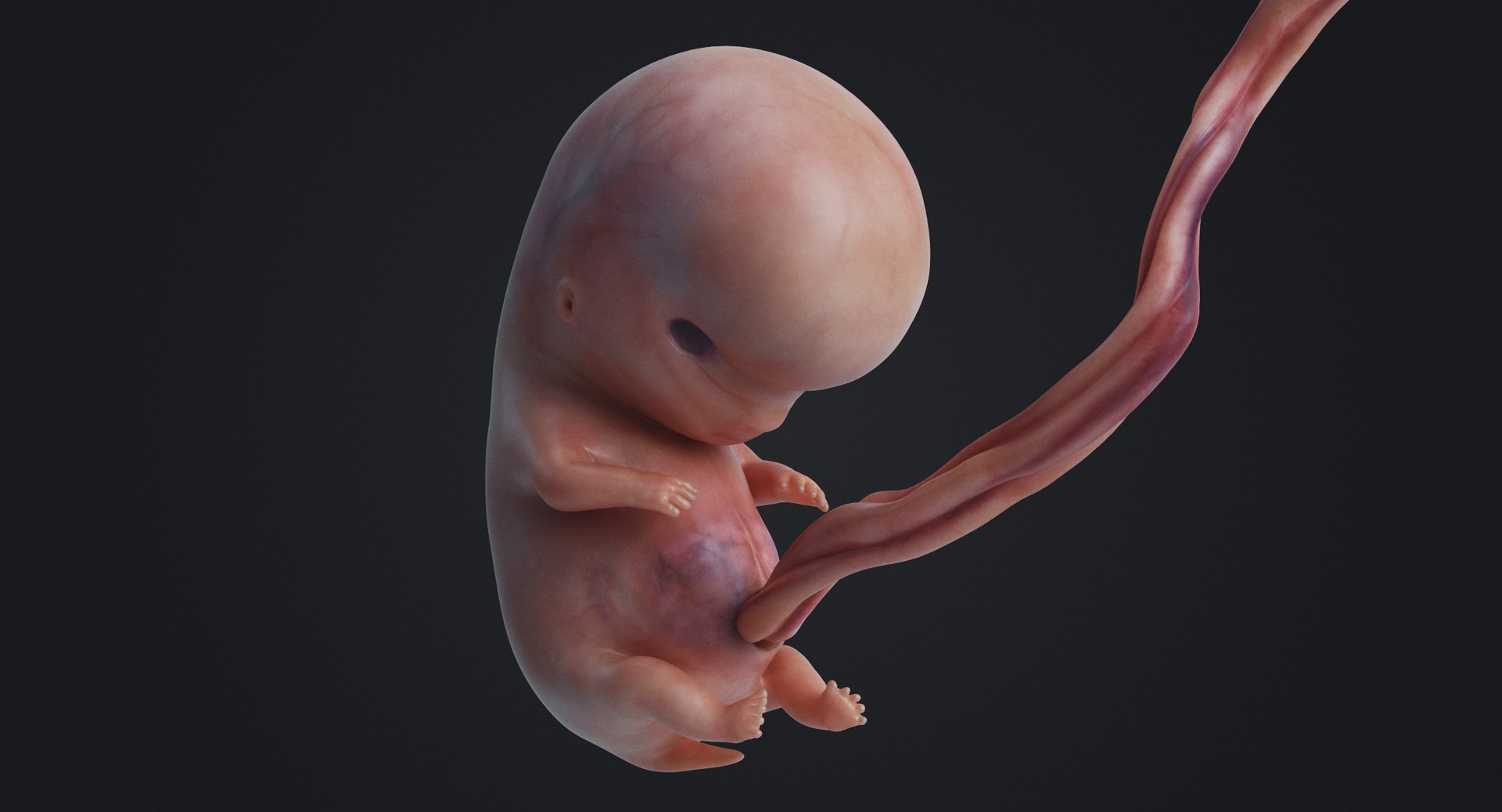 3D rigged animation https://p.turbosquid.com/ts-thumb/73/PBFtTI/IUtmiADC/rakursu_0007/jpg/1559818059/1920x1080/fit_q87/5ae36f64c9aeef65a696cf7101137ea9e425f114/rakursu_0007.jpg