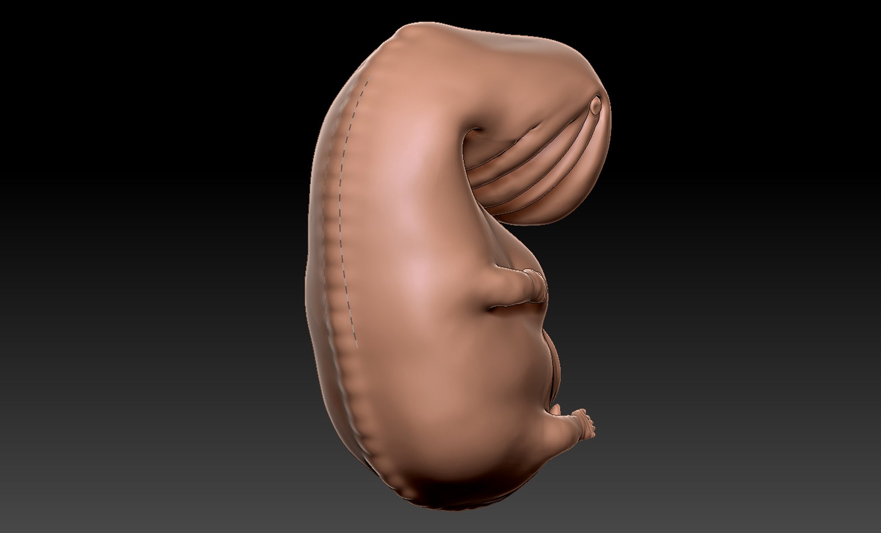 3D rigged animation https://p.turbosquid.com/ts-thumb/73/PBFtTI/IegYaGbT/humanembryo_5/jpg/1559820097/1920x1080/fit_q87/5823a0091ccc9a28075108ef8b60611cae59f632/humanembryo_5.jpg