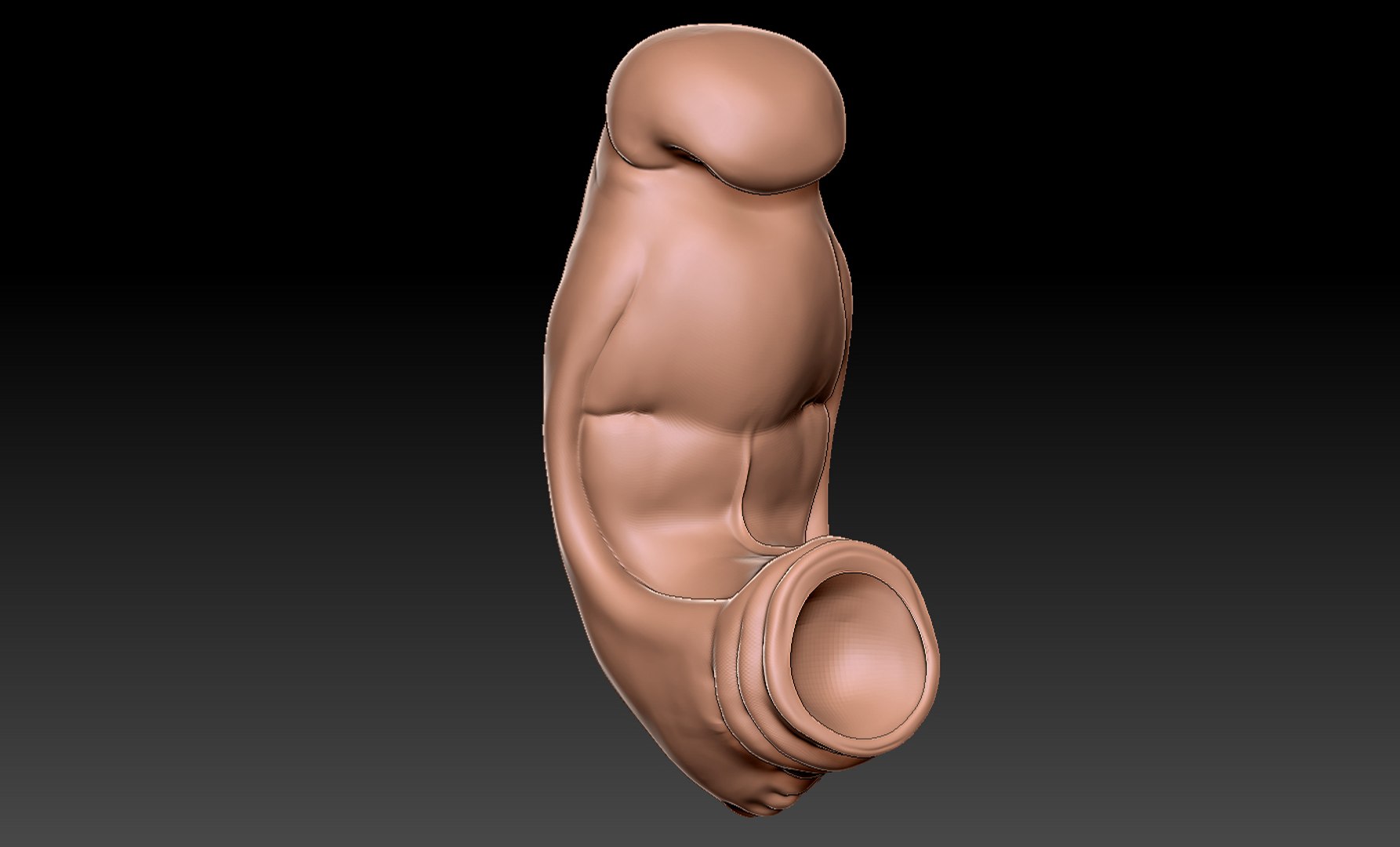 3D rigged animation https://p.turbosquid.com/ts-thumb/73/PBFtTI/JgDcxkSd/humanembryo_8/jpg/1559820098/1920x1080/fit_q87/d2aa657f3756ef0cb73e8e7860dc8882759320f7/humanembryo_8.jpg
