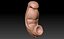 Human Embryo Fetus Animated