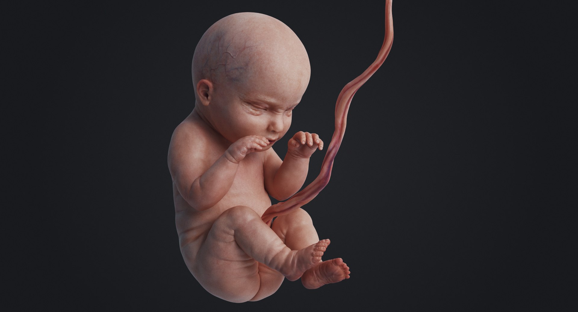 3D rigged animation https://p.turbosquid.com/ts-thumb/73/PBFtTI/MkOwic7v/rakursu_0011/jpg/1559818060/1920x1080/fit_q87/aaff9e7f3d072e713c8c17228d662c9c8b0b8321/rakursu_0011.jpg